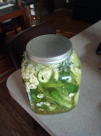 Kittencal's Easy Refrigerator Kosher Garlic-Dill Pickles. Photo by jeffreyj0125