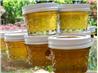 Dandelion Jelly