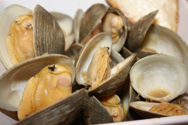 Steamed Clams or Mussels. Photo by Ruby15