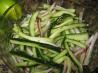 John's Cucumber Sweet Onion Salad With Lime Pepper Dressing. Recipe by Baby Kato