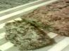 Date Nut Bread