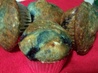 Lemon Blueberry Muffins