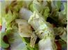 Soy Vinaigrette