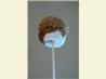 Kids Love S'mores Pops!!