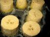 Patacones (fried Plantain)
