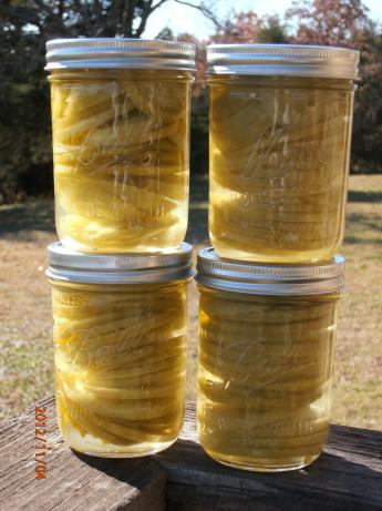 Canned Green Tomatoes. Photo by Weewah