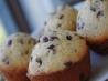 Chocolate Chip Muffins