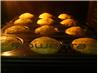 Chocolate Chip Muffins