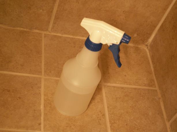 Tile and Grout Cleaner. Photo by JanuaryBride