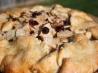Rustic Apple and Dried Cranberry Pie