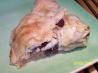Rustic Apple and Dried Cranberry Pie