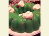 Creamy Jello-o Waldorf Salad. Recipe by Connie K