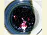 Blueberry Sauce