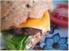 Hamburger or Sandwich Buns or Hot Dog Buns