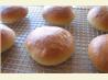 Hamburger or Sandwich Buns or Hot Dog Buns