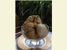 Brown Sugar Ice Cream. Recipe by evelyn/athens