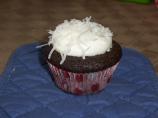 Chocolate Cupcakes With Chocolate Frosting. Photo by ChloeM