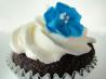 Decorator Buttercream Icing