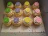 Decorator Buttercream Icing