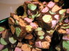 Chocolate Confetti Squares