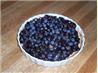 Blueberry Tart - Couldn't Be Easier