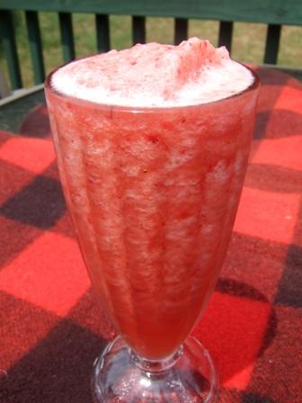 Island Fun Smoothie. Photo by HokiesMom