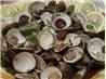 Clams With Chorizos