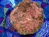 Creole Seasoning