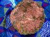 Creole Seasoning