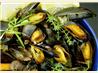 Garlicky Mussels in a Rich Lemon, Fresh Herb, Butter Sauce