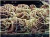 Cake Mix Cinnamon Rolls. Recipe by Ridgely