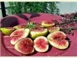 Grilled Fresh Figs on Rosemary Skewers