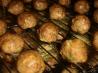Mini Meatballs