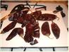 Homemade Chili Powder. Recipe by Miss Annie