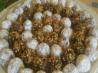 Italian Chocolate Truffles. Recipe by Bobtail