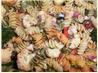 Not Just Another Pasta Salad. Recipe by *axxo*