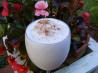 Apple Juice Frosty. Recipe by littleturtle