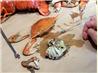 Seafood (Crab, Shrimp and Lobster) Boil and How to Open and Eat