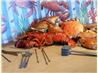 Seafood (Crab, Shrimp and Lobster) Boil and How to Open and Eat