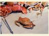 Seafood (Crab, Shrimp and Lobster) Boil and How to Open and Eat