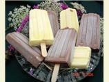 Frozen Fudge Pops