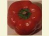 Amazing Stuffed Capsicum