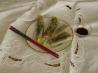 Tuna Spring Rolls With Lime/soy Sauce
