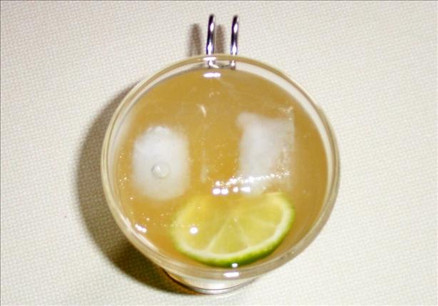 Citrus Soda. Photo by Baby Kato