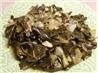 Collard Greens - It's Good for You!