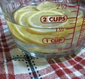 Microwave Cleaner