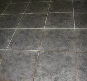 Tile & Grout Cleaner