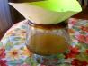 Fruit Fly & Gnat Trap