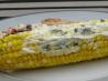 August 28: Herbed Corn