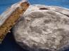 June 2: Puppy Chow Cookies